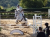 concours-20-oct-2013-4-of-356