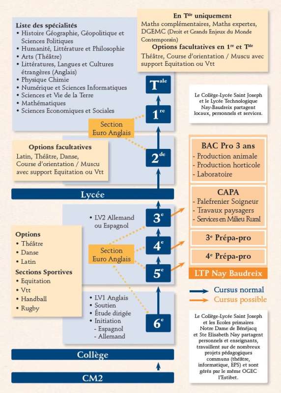 Organigramme-des-formations-2021-2022