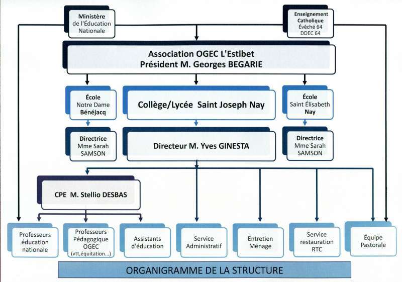 Organigramme447