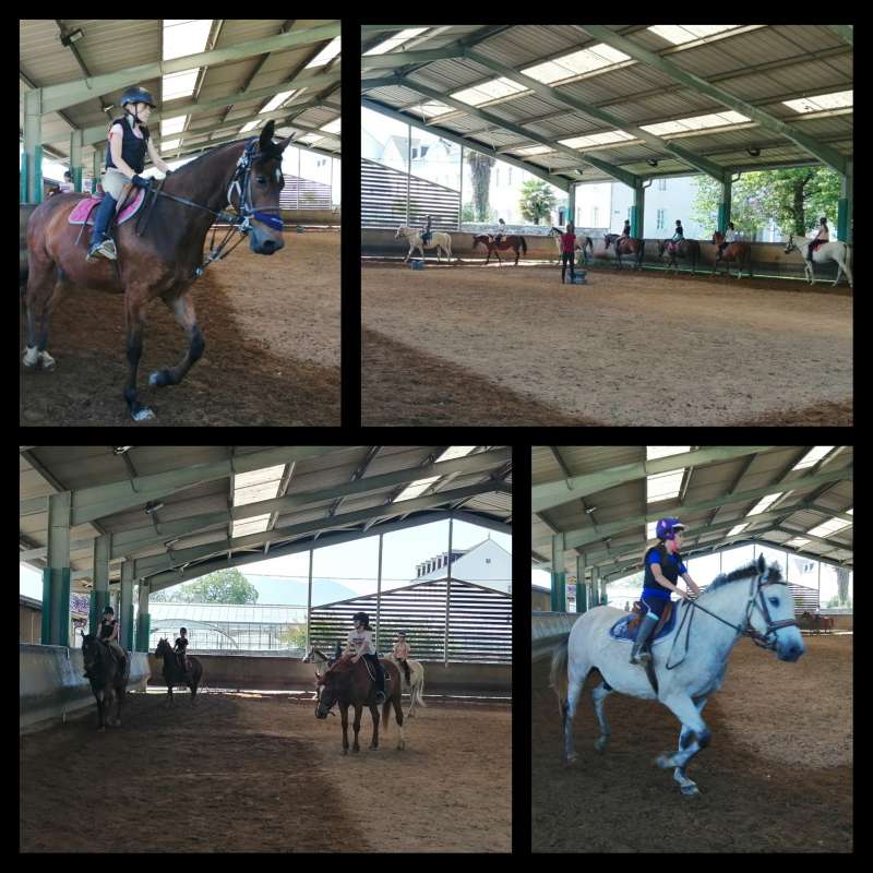 EQUITATION-26.05