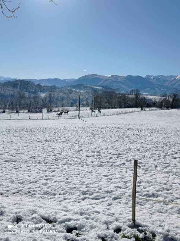 IMG-20230224-WA0033