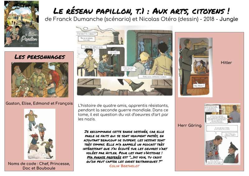 Reseau-papillon