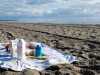 IMG-20250508-WA0001
