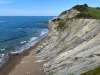 IMG-20250508-WA0022