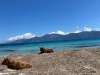 IMG-20250510-WA0010