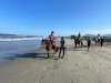 IMG-20230521-WA0066