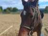 IMG-20261012-WA0018