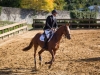 concours-20-oct-2013-13-of-35