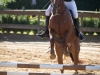 concours-20-oct-2013-14-of-359