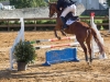 concours-20-oct-2013-15-of-354
