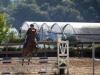 concours-20-oct-2013-18-of-355
