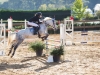concours-20-oct-2013-22-of-356
