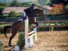 concours-20-oct-2013-23-of-356
