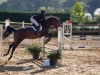 concours-20-oct-2013-24-of-356