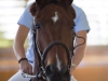 concours-20-oct-2013-26-of-353_0