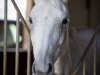 concours-20-oct-2013-33-of-357