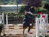 concours-20-oct-2013-9-of-353