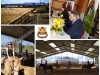 Photo Collage_20190317_181131229