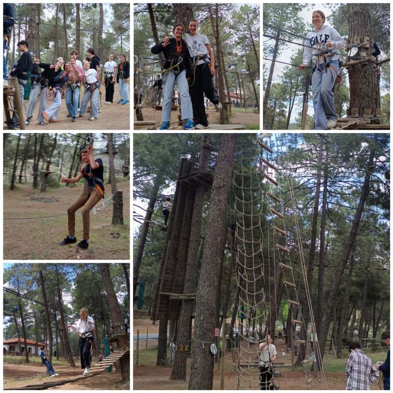 PhotoCollage_20250508_181252530