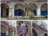 Glycine