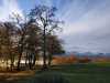 IMG-20211129-WA0002