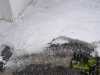 IMG-20240517-WA0003