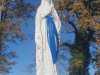 IMG-20241127-WA0008