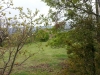 20130518_173039