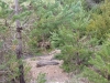 20130519_105142