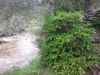 20130519_105214