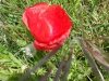 20130519_123634
