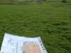 IMG-20240502-WA0065