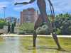 IMG-20240503-WA0068