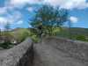 IMG-20240523-WA0009