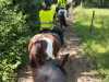 IMG-20250609-WA0020