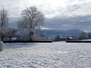 20150203_120513 pour site
