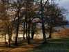 IMG-20211129-WA0001