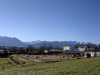 IMG-20220112-WA0006