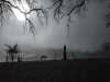 IMG-20220130-WA0010