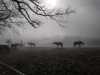 IMG-20220130-WA0017