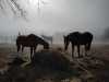 IMG-20220130-WA0019
