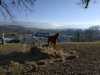 IMG-20220130-WA0021
