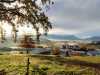 IMG-20241124-WA0010
