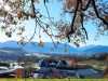 IMG-20241127-WA0001