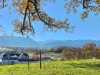 IMG-20241127-WA0002