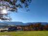 IMG-20241127-WA0007