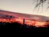 IMG-20250115-WA0016