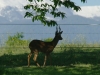 mai-2013-002-copie